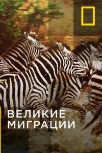 Великие миграции (2010)