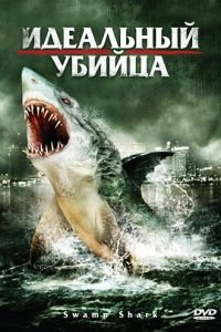   Идеальный убийца (2011)